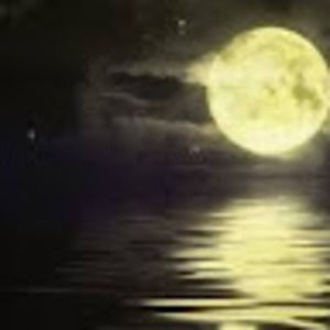 Meet your Posher, Virk